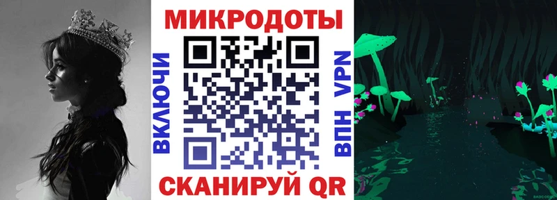 Псилоцибиновые грибы Psilocybine cubensis  Самара 